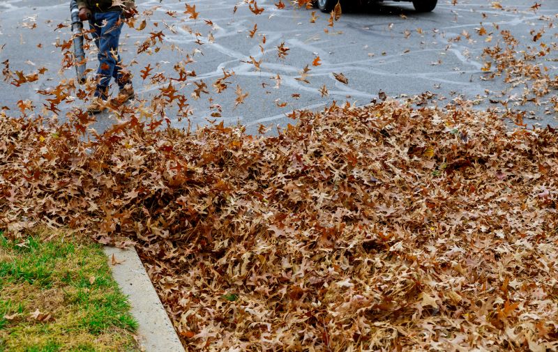 Leaf Blowing for Quick Cleanup