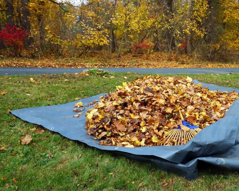 Autumn yard debris removal