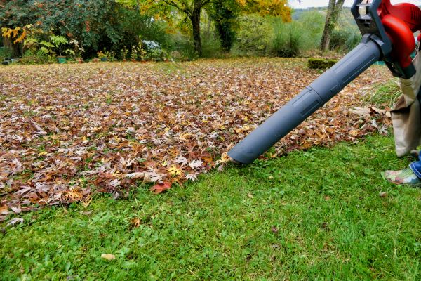 Cost of Leaf Vacuuming Service in Conway