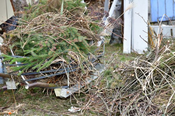 Cost of Yard Debris Removal in Conway