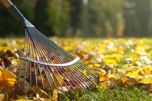 Cost of Leaf Raking Service in Conway