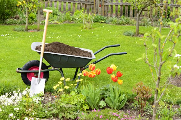 Cost of Spring Yard Cleanup in Conway