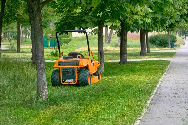 Cost of Landscaping Cleanup Service in Conway