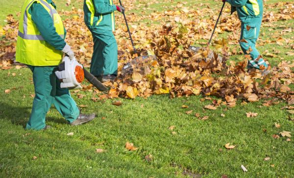 Cost of Leaf Maintenance in Conway