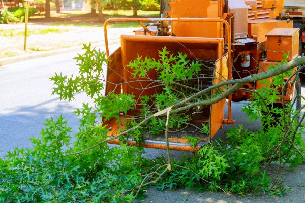 Cost of Tree Branches Removal in Conway