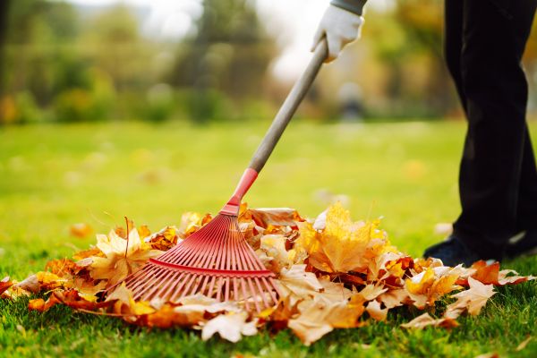 Cost of Ditch Leaf Removal in Conway