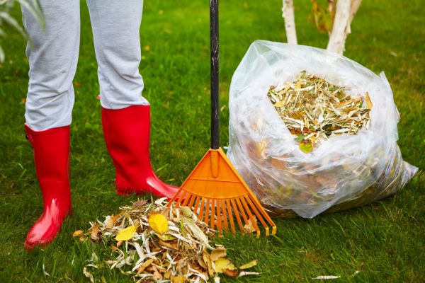 Cost of Leaf Disposal Service in Conway