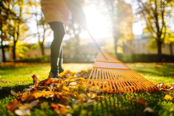 Cost of Leaves Raking in Conway