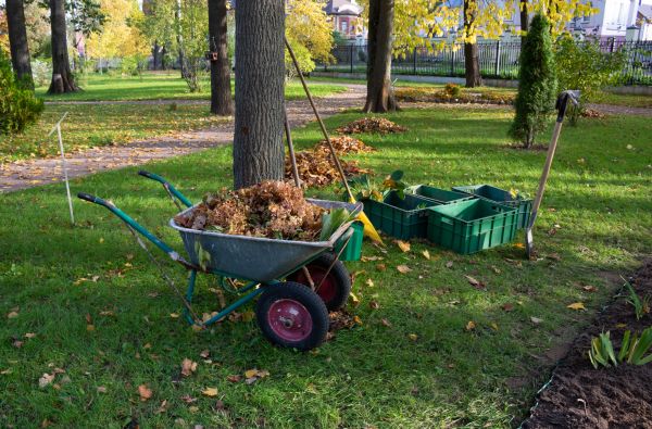 Cost of Leaf Clearing Service in Conway