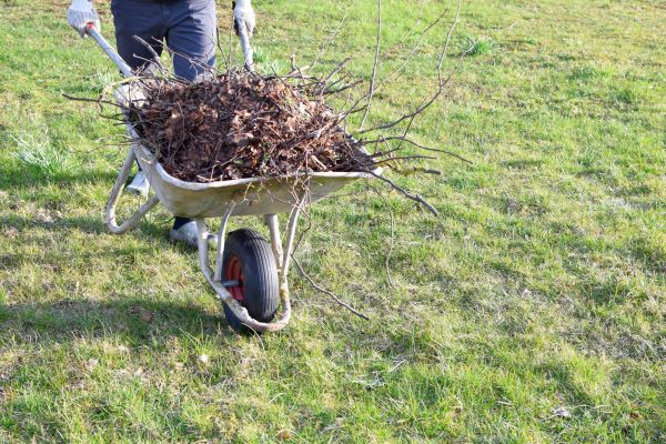 Cost of Yard Brush Removal in Conway