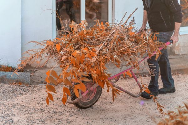Cost of Lawn Debris Cleanup in Conway