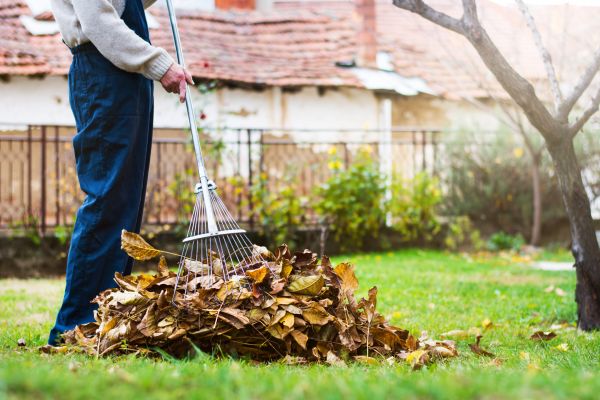 Cost of Spring Lawn Cleanup in Conway