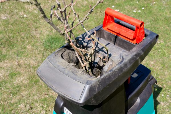 Cost of Brush Cleanup Service in Conway