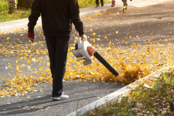 Cost of Commercial Leaf Removal in Conway